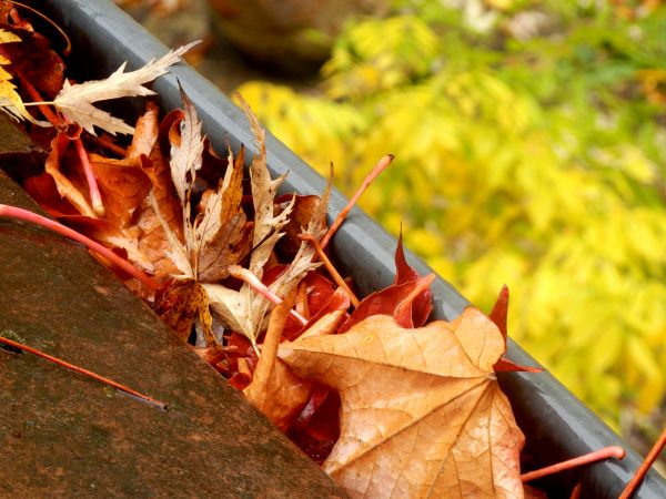 Blocked Gutter Cleaning