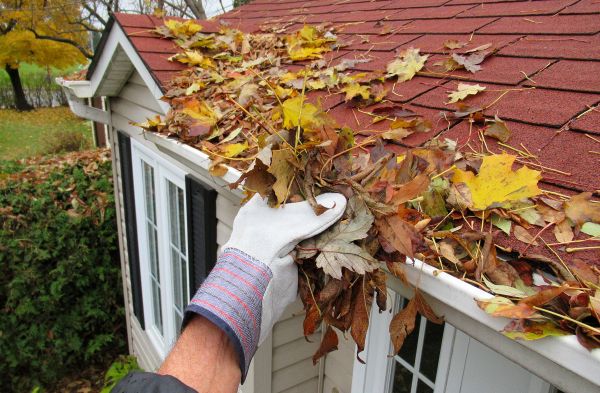 Downspout Cleaning