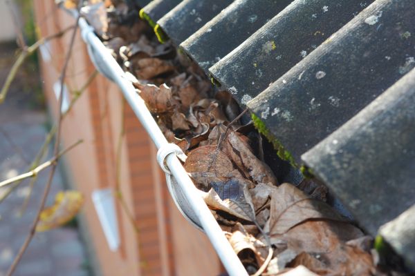 Chimney And Gutter Cleaning