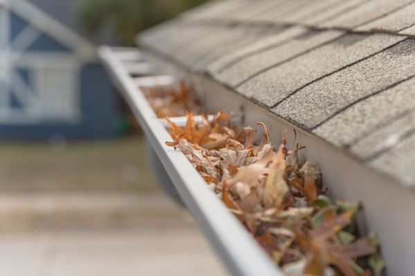 Leaf Barrier Installation - Leaf Barrier Installation Salt Lake County, Utah