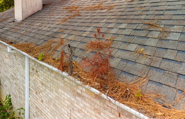 Blocked Gutter Cleaning